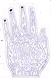Square hand